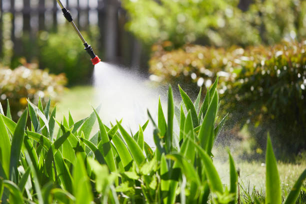Tamper-Resistant Bait Stations for Rodents in Clatskanie