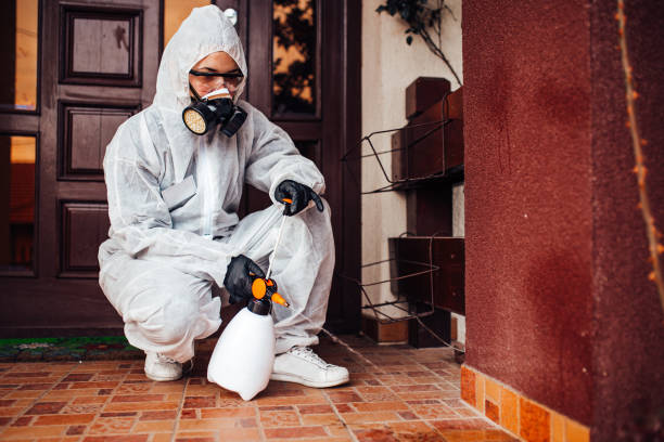Attic and Crawl Space Rodent Treatment in Clatskanie