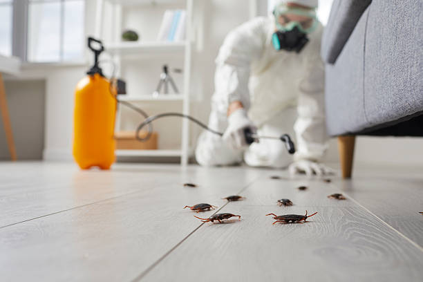 Commercial Rodent Management in Clatskanie